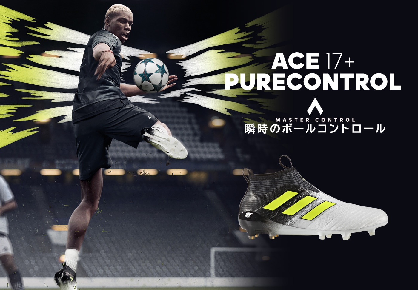 ACE PURECONTROL ピュアコントロール fg/ag エース-