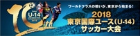 東京国際ユースU-14サッカー大会