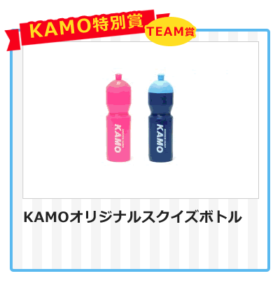 KAMO特別賞(チーム)