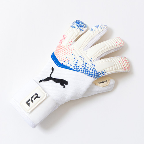 フューチャー プロ ハイブリッド