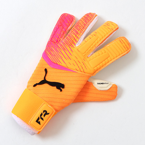 フューチャー プロ ハイブリッド