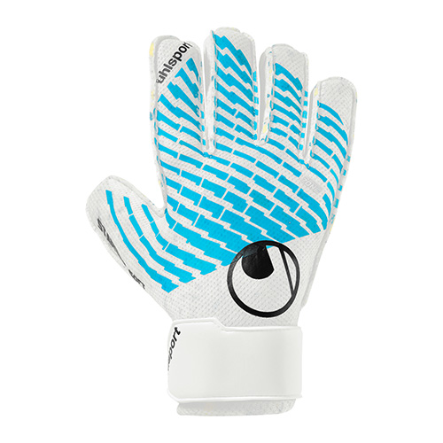 サイバーテック スターターソフト