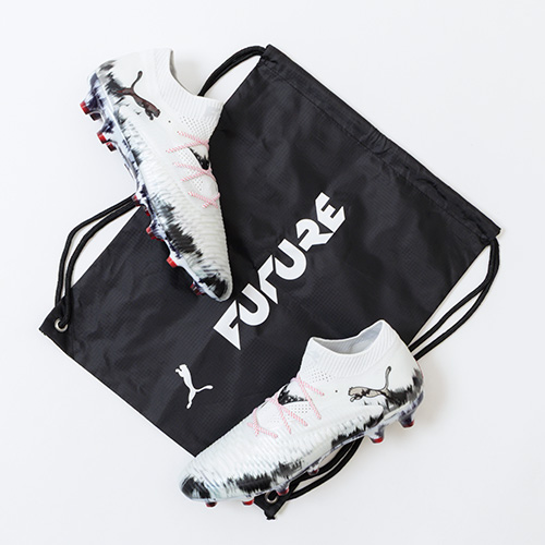 フューチャー 8 アルティメット HG/AG JPLE