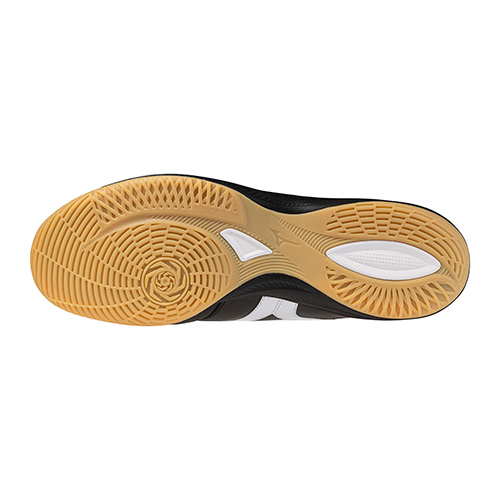 モレリア SALA JAPAN IN