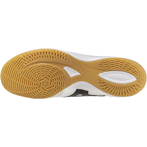 モレリア SALA JAPAN IN