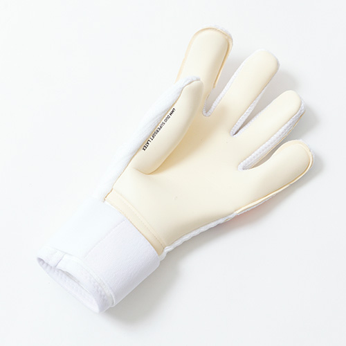 フューチャー プロ ハイブリッド