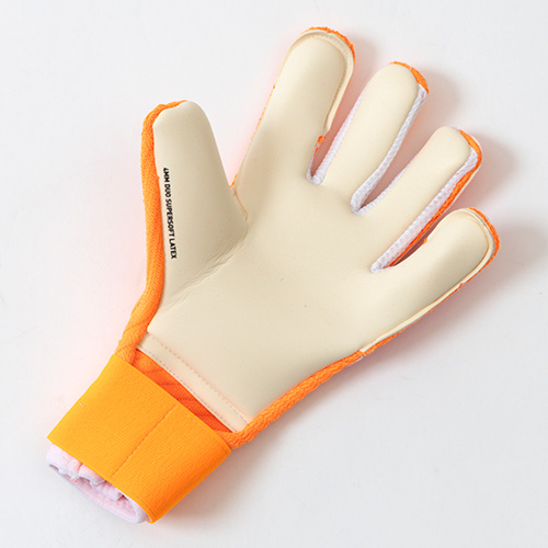 フューチャー プロ ハイブリッド