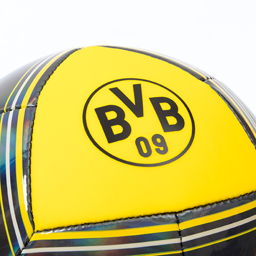 ドルトムント カルチャー ミニボール