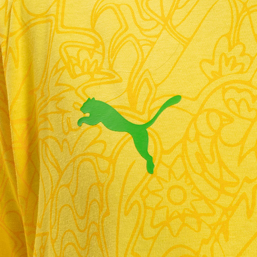 NJR BRAZIL PASSION AOP SSシャツ