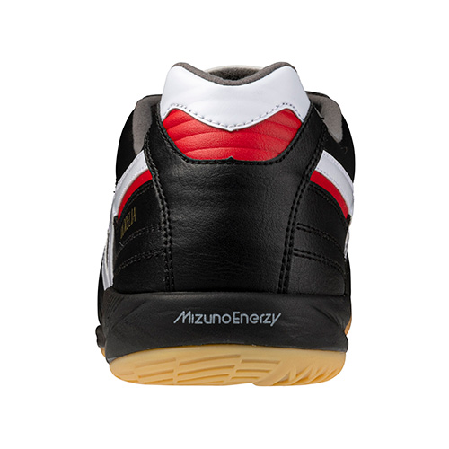 モレリア SALA JAPAN IN