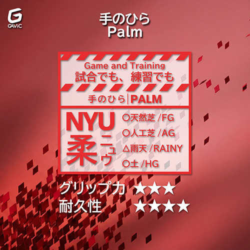 フォーカス6