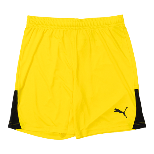 TEAMLIGA26 ショーツ
