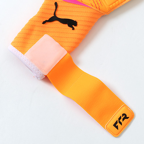 フューチャー プロ ハイブリッド