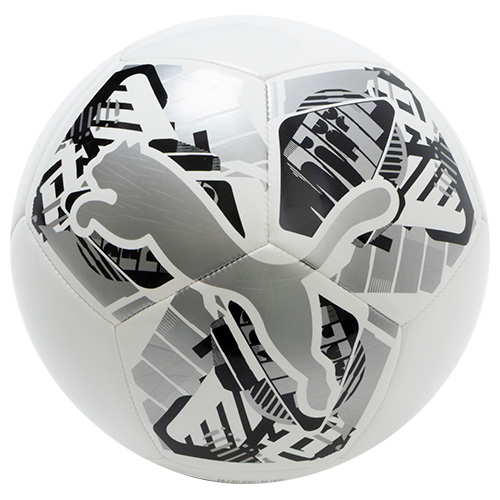 ビッグ キャット ボール 5号球