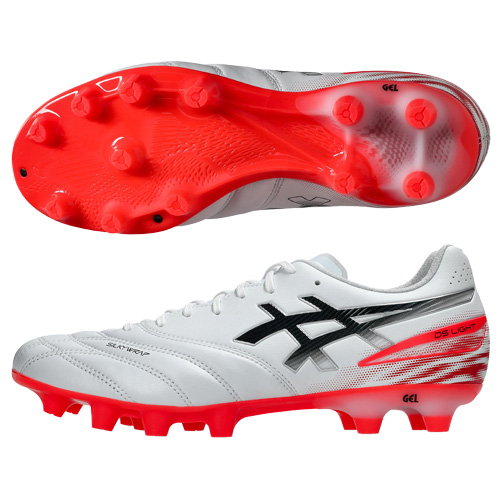 【予約】DS LIGHT PRO