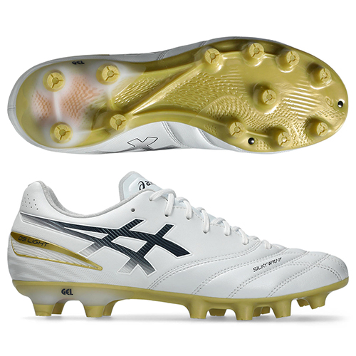 【予約】DS LIGHT PRO