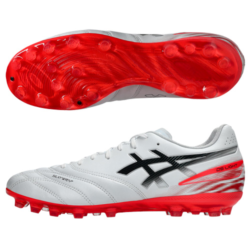 【予約】DS LIGHT PRO AG