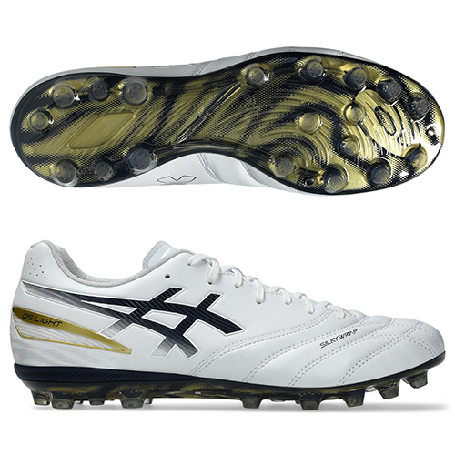 【予約】DS LIGHT PRO AG