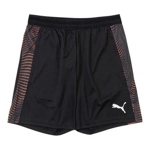 INDIVIDUALFINAL TR ショーツ