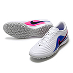 ティエンポ マエストロ アカデミー TF