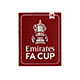 【納期7週間】CUP戦 FA CUP BADGE WINNERS 14