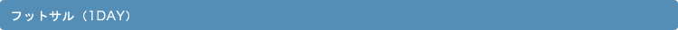�t�b�g�T���i1DAY�j