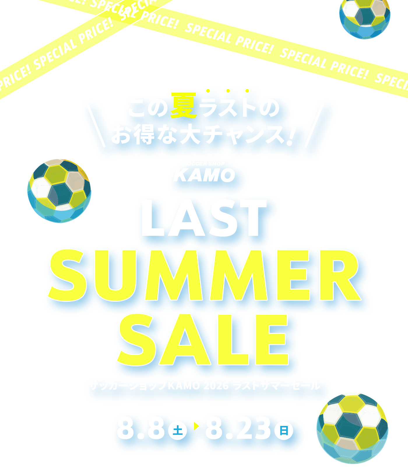 LAST SUMMER SALE